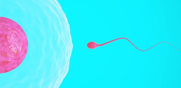 Fertilidade: isso depende mais das mulheres? Caxumba deixa infértil? E mais dúvidas – VivaBem