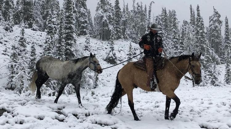 Cavaleiro da América - Na terra do fogo, no extremo sul da Argentina, cavalgando a baixas temperaturas - Arquivo pessoal - Arquivo pessoal