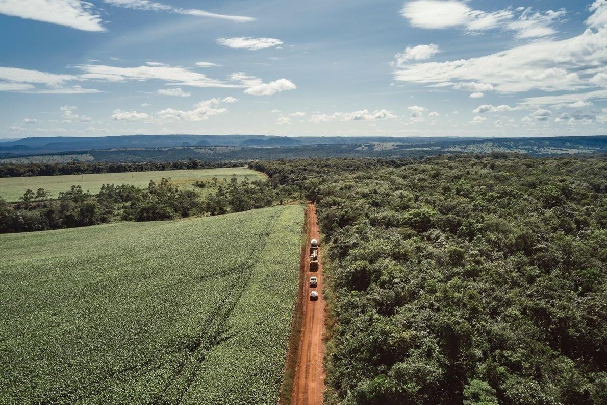 A caravana segue em direção ao santuário dos elefantes.  Campos de soja, milho e algodão estendem-se no horizonte e se entrelaçam com áreas de vegetação indígena - Sofía López Mañán / Discovery